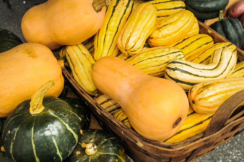 Winter Squash