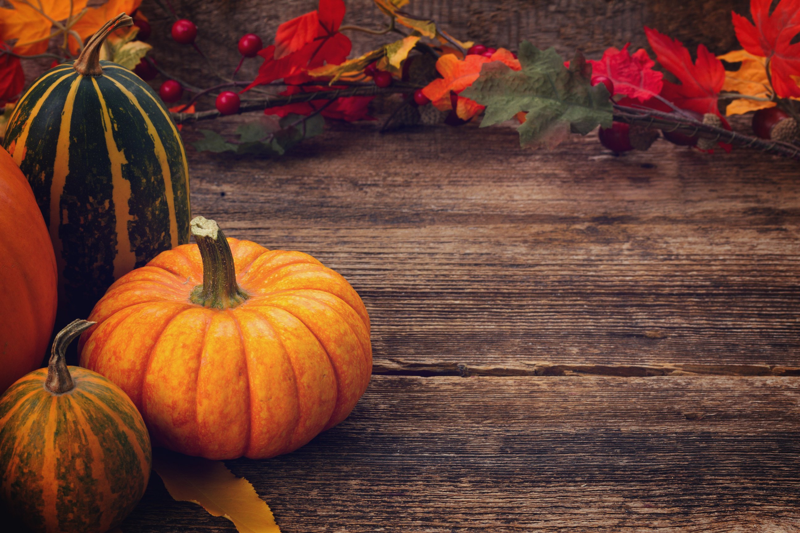 Pumpkin on Table