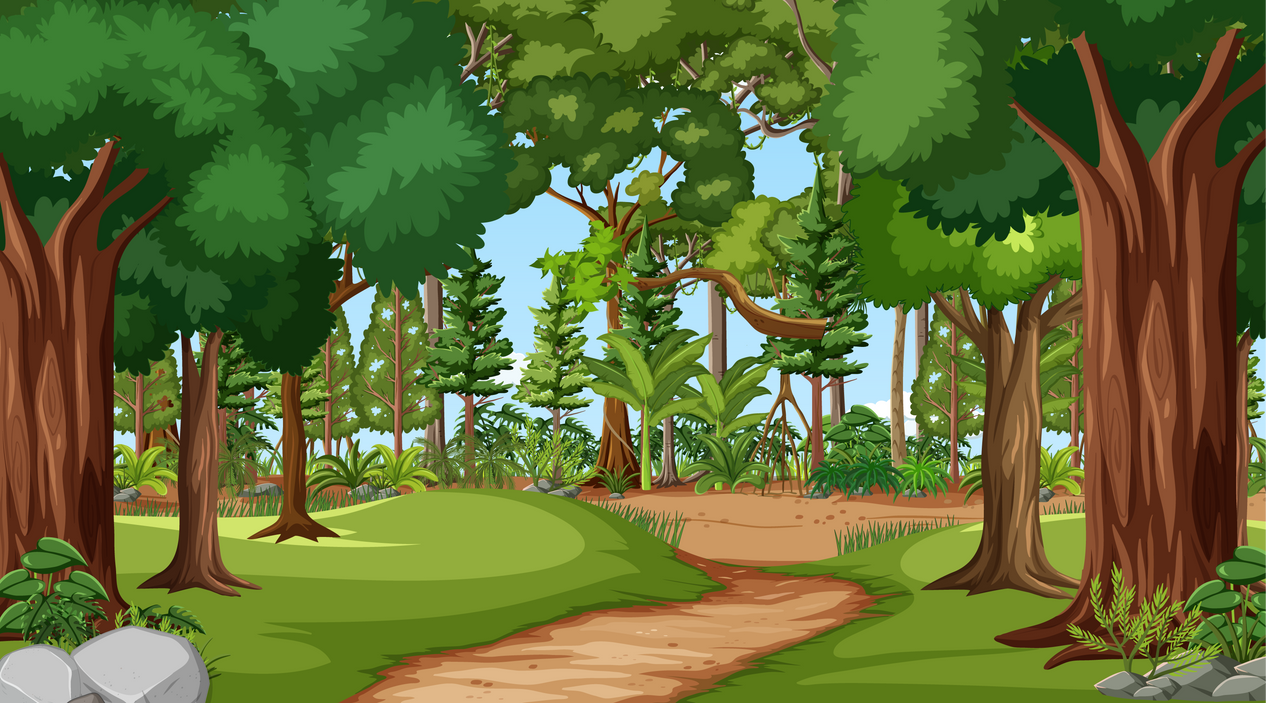 Forest scene with various forest trees