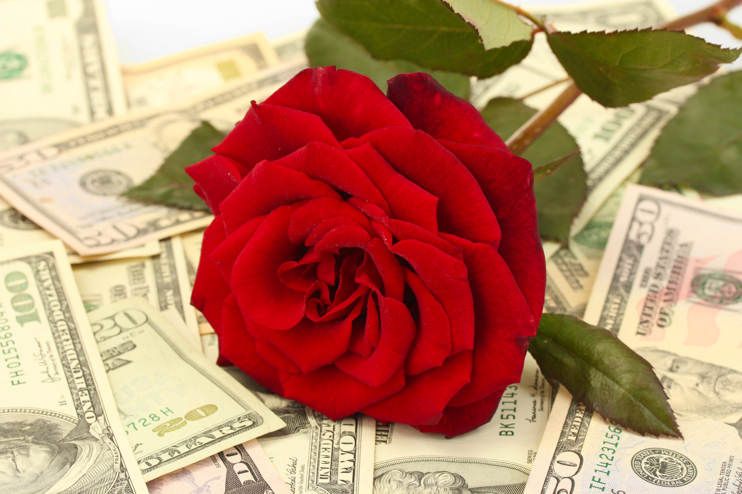 Concept of Love and Money