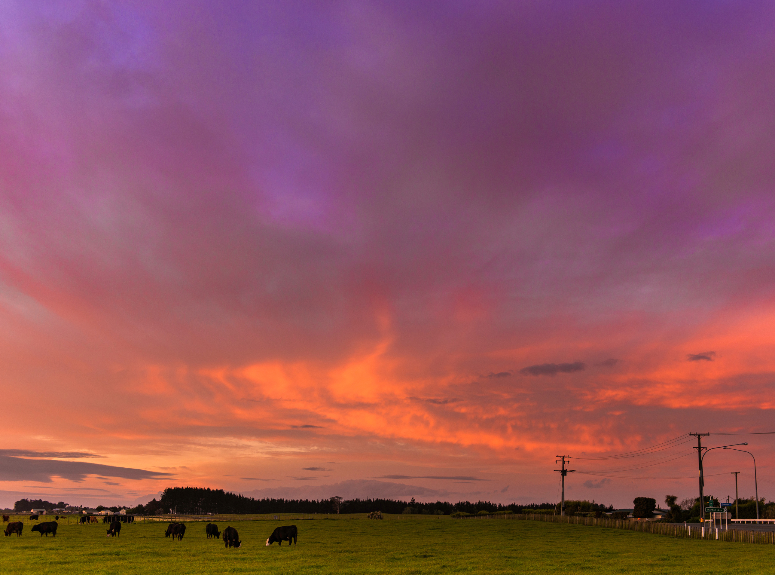 Farming at dusk