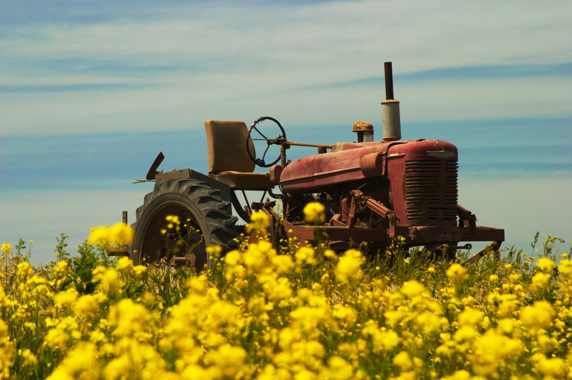 Old Tractor