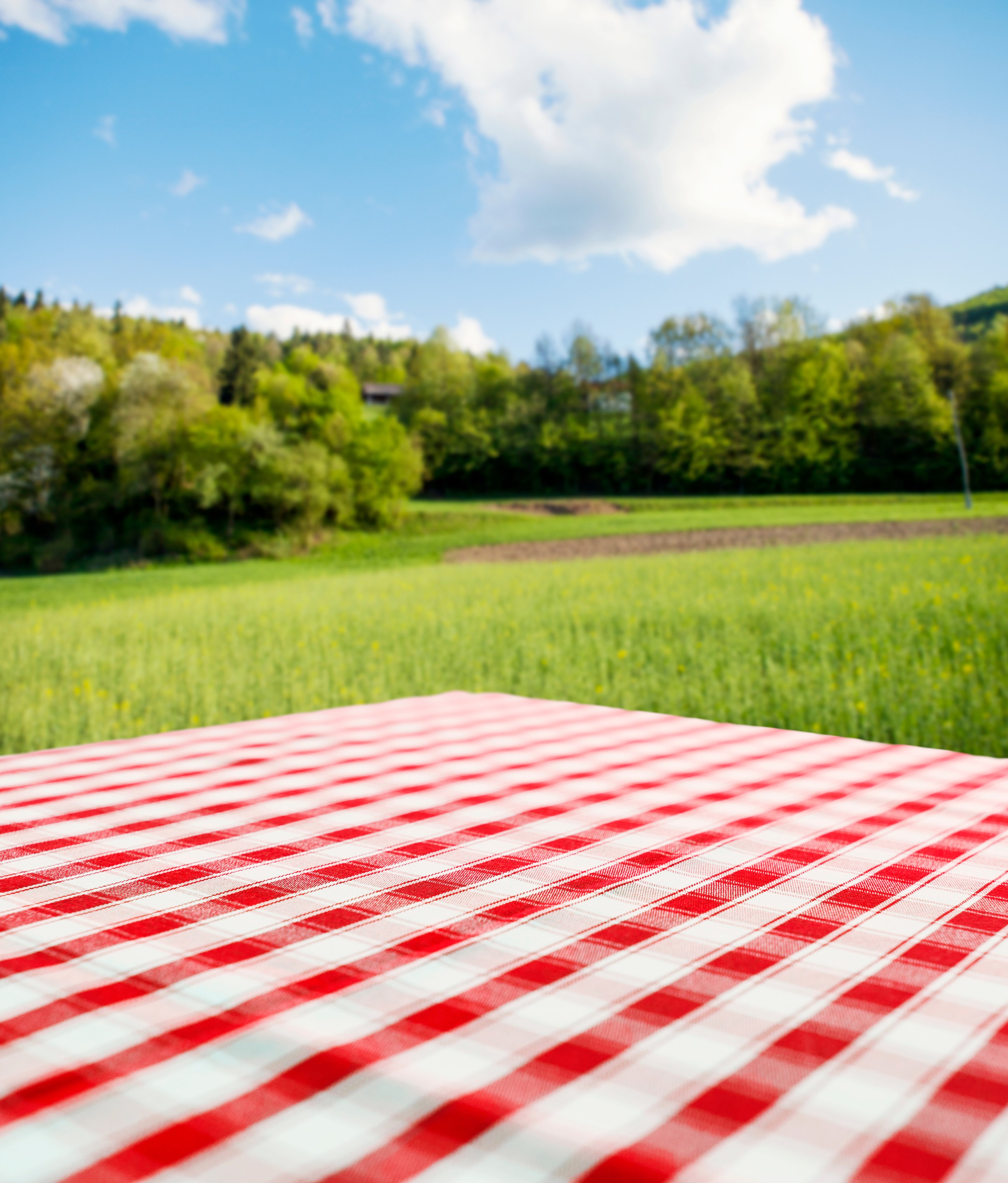 Picnic table