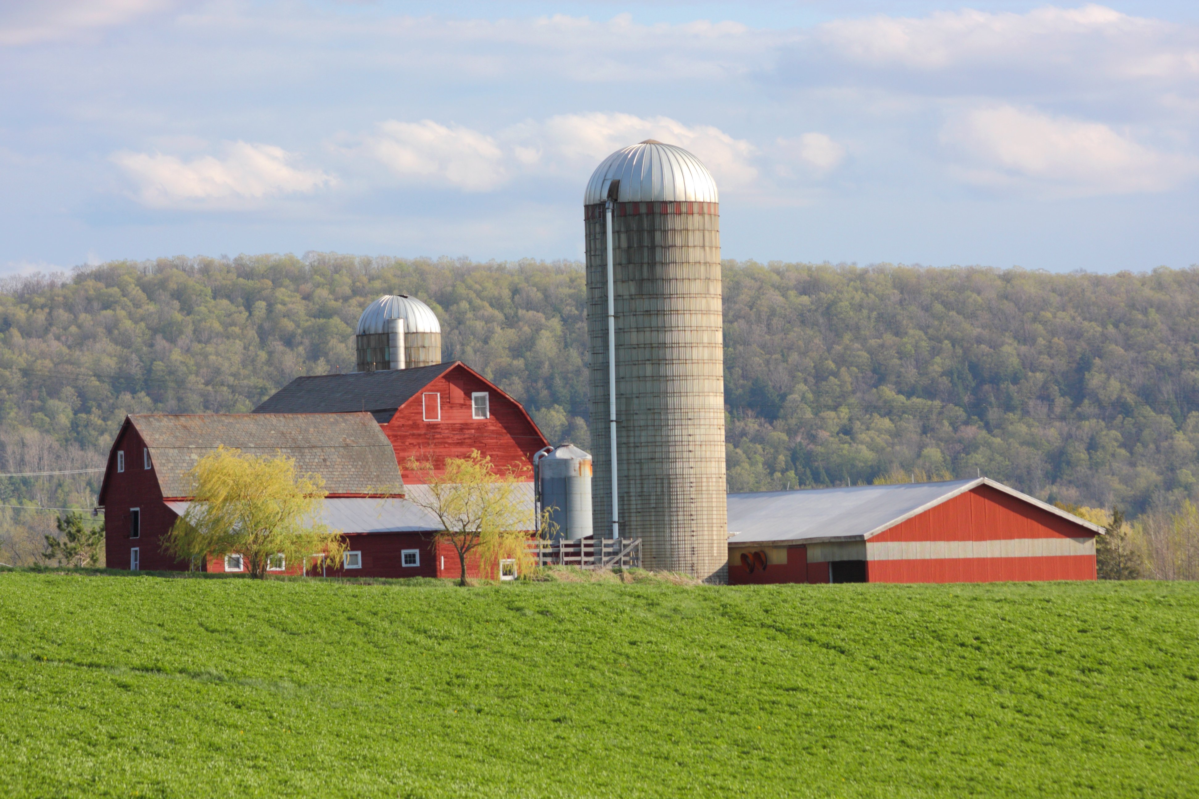 Spring Farm and Field