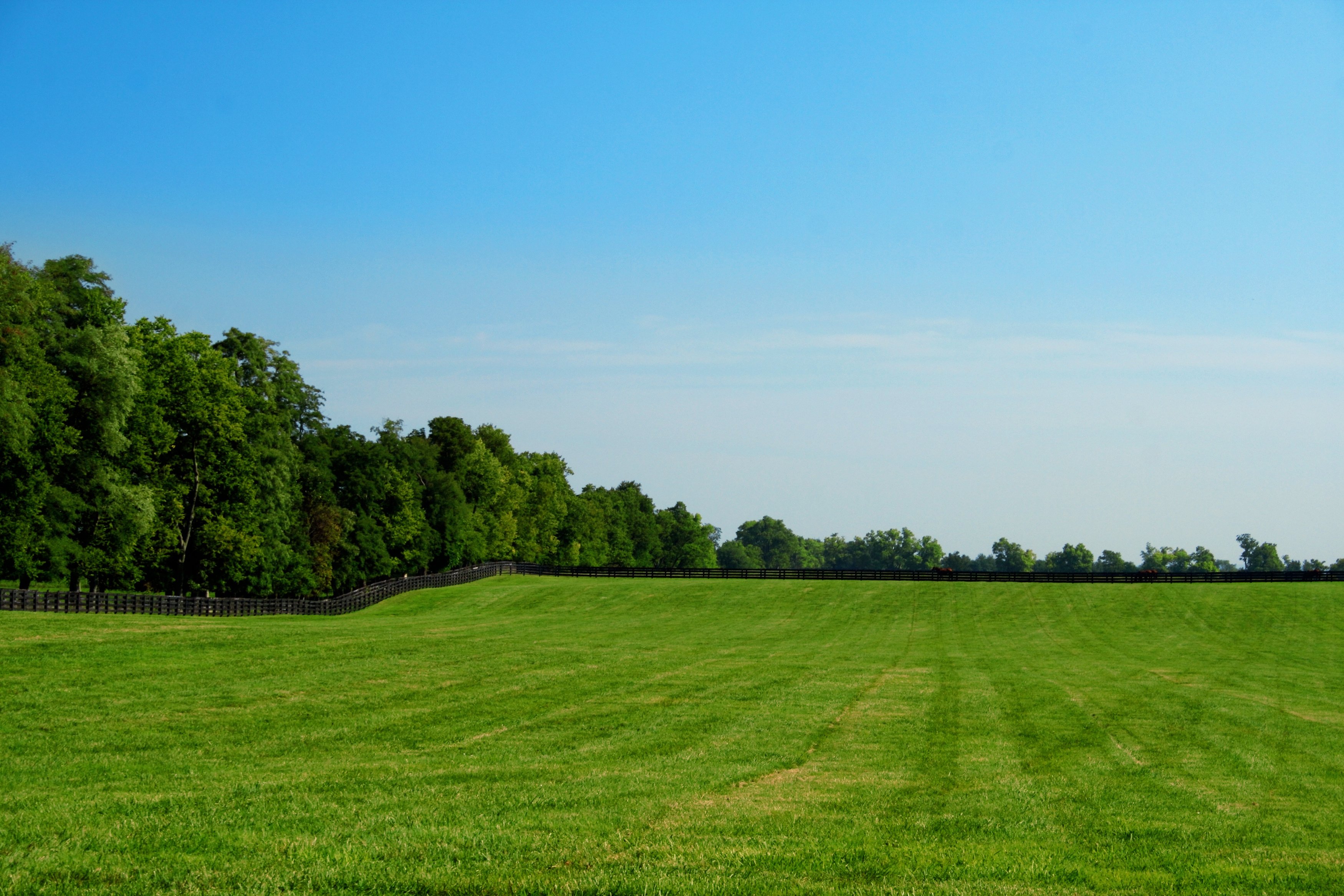 Green Pasture