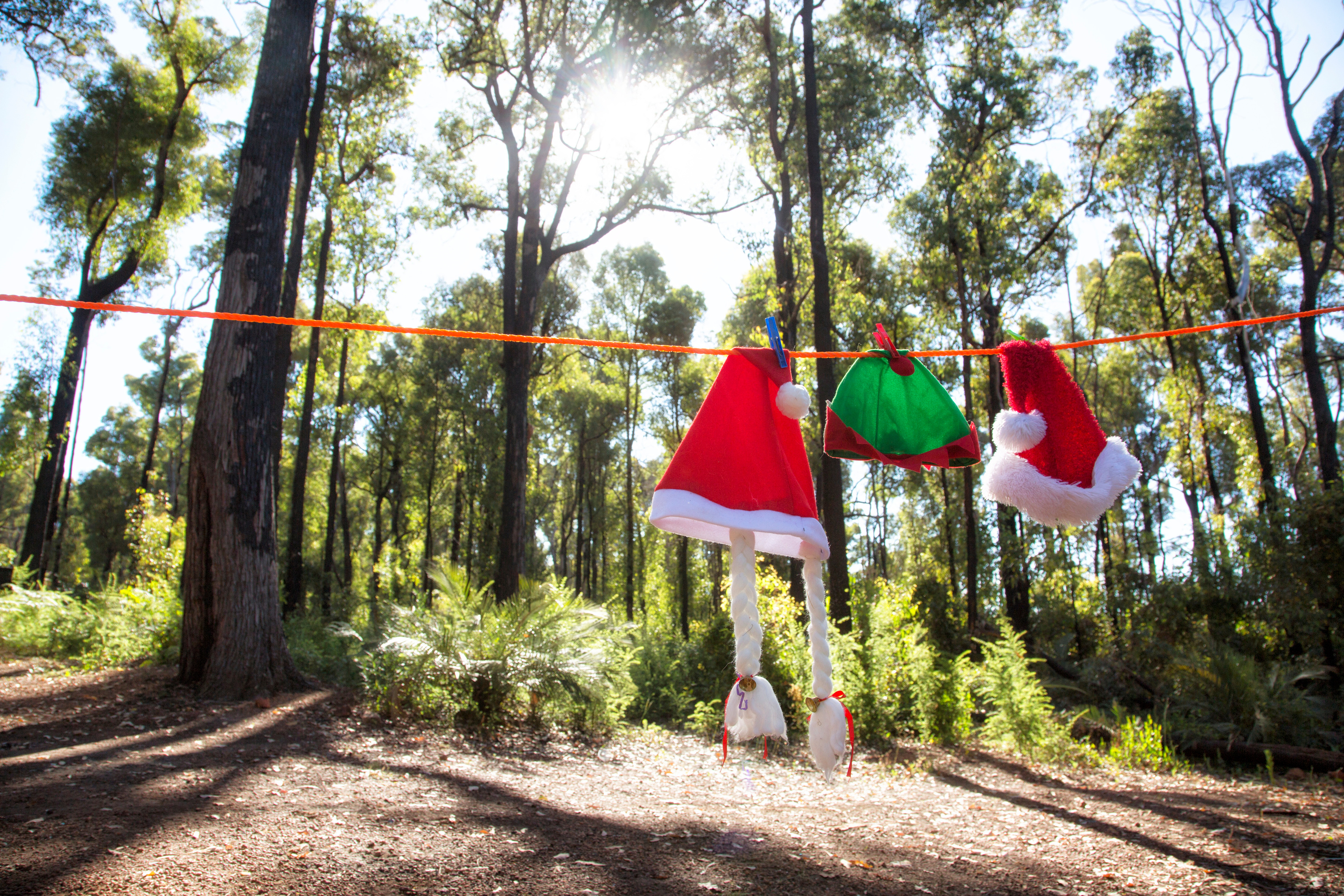 Camping Christmas Australia